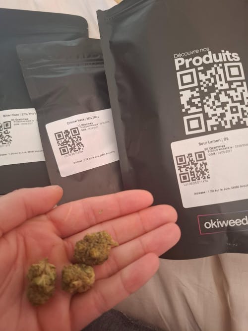 Cocoa Kush Small Bud THV+