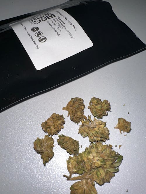 Solero Indoor | 22% CBD | Indoor