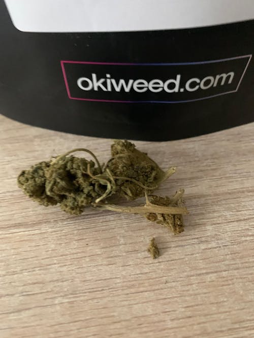 Swiss Cheese | 23% CBD | Indoor