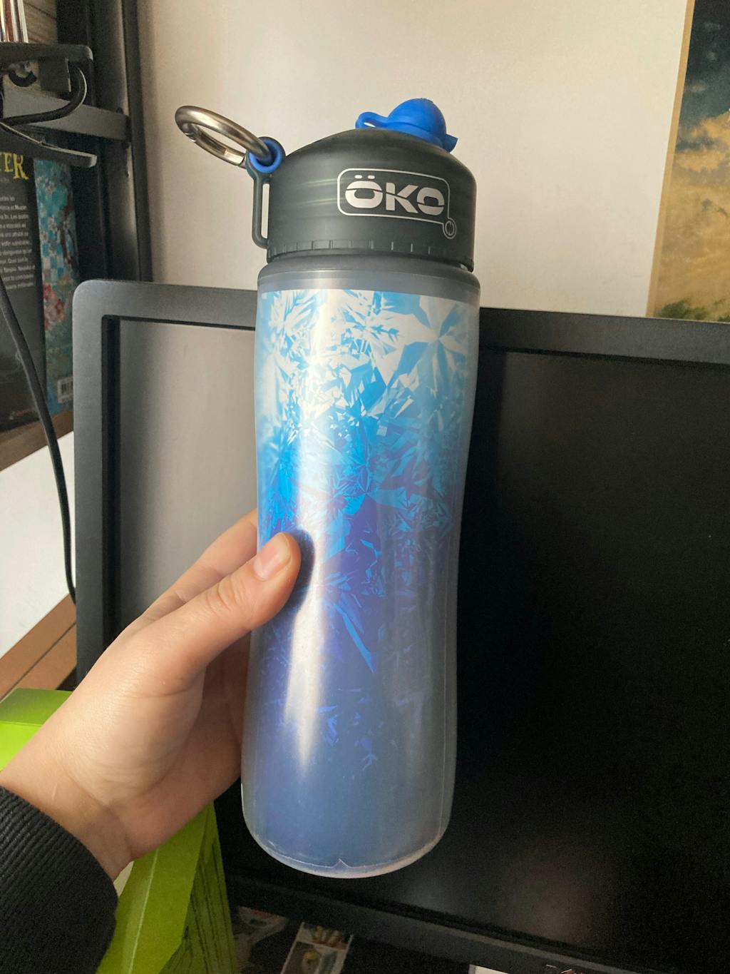 Gourde filtrante isotherme ÖKO Fresh (filtre inclus)