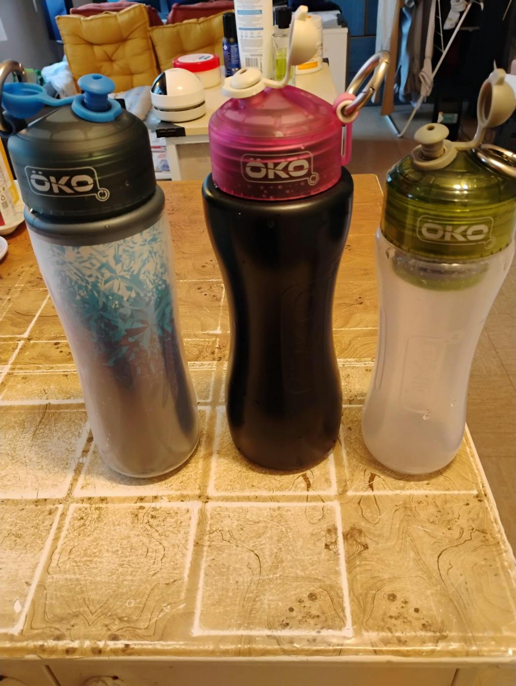 Botella con filtro isotérmico ÖKO Fresh (filtro incluido)