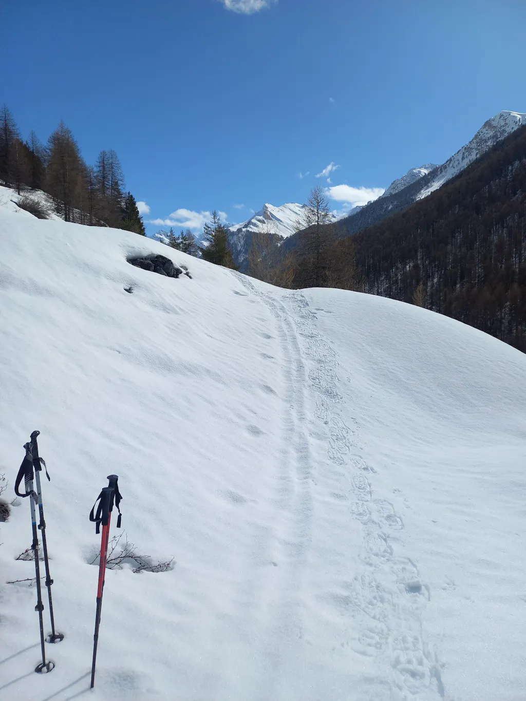 ÖKO-Filterflasche – mittlerer Durchfluss