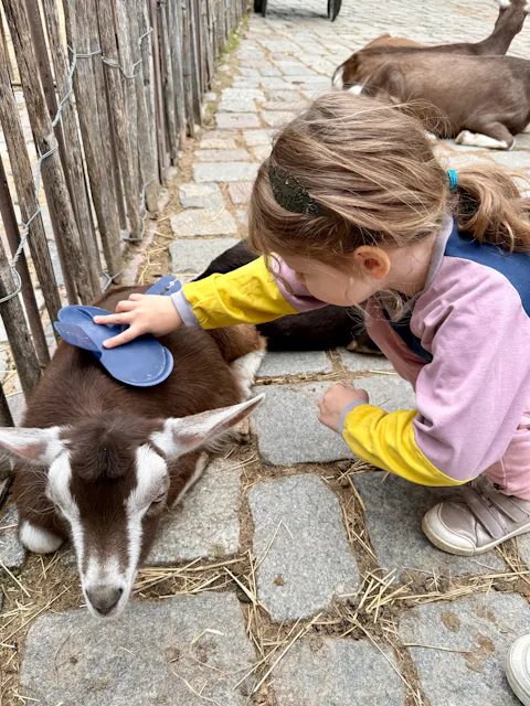 Mitwachsender warmer Pullover Kinder | Bio Baumwolle | Blau- Rot Loki