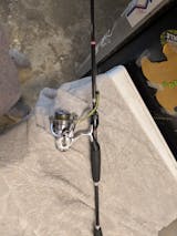 Kinetic - 7'6" Medium Light Spinning Mod-Fast