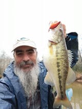 Kinetic - 6'6" Medium Light Casting Mod-Fast