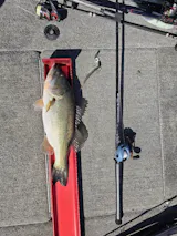 Suppressor - 7’ 2” Medium Heavy Casting Mod Fast