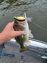 Kinetic - 7'0" Medium Casting Mod-Fast