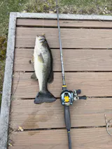 Buoyancy 7'6" Medium Light Casting Mod Fast