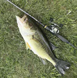 Buoyancy 7'0" Medium Light Casting Mod Fast