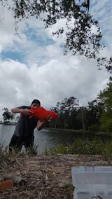 Kinetic - 7'0" Ultra Light Spinning Mod-Fast