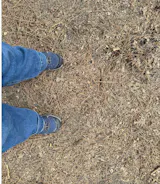 Review photo from Megan Tracy Benson