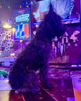 Review photo from Christopher Gray