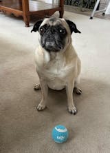 OLIRQ Liquid Collagen Formula