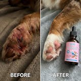 OLIRQ Liquid Collagen Formula