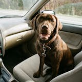 OLIRQ Liquid Collagen Formula