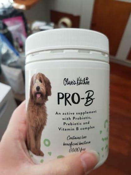 Pawfy Allergy And Immune Buy TailsAlive Probiotic Soft Chews