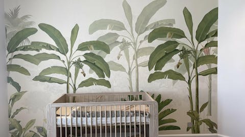 Storks in the jungle