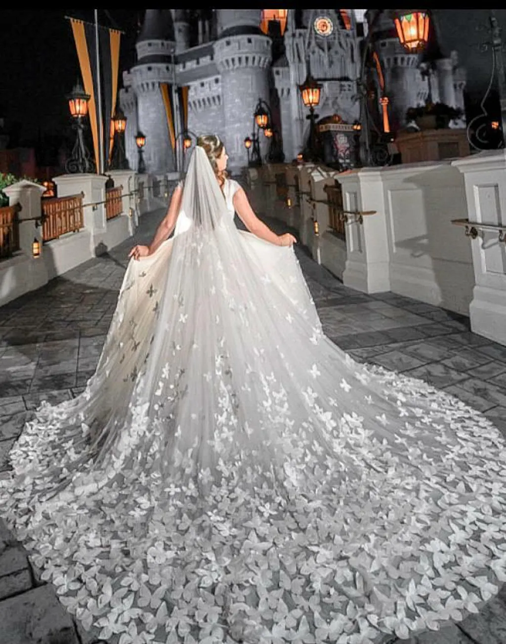 Butterfly Appliqued Wedding Dress Baily  Olivia Bottega