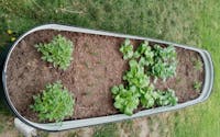 17" Tall, 12-in-1 Olle Galvanized Raised Garden Beds, Home Garden Vegetable Beds, Midnight Gray