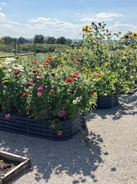 17" Tall, 12-in-1 Galvanized Raised Garden Bed, Midnight Grey