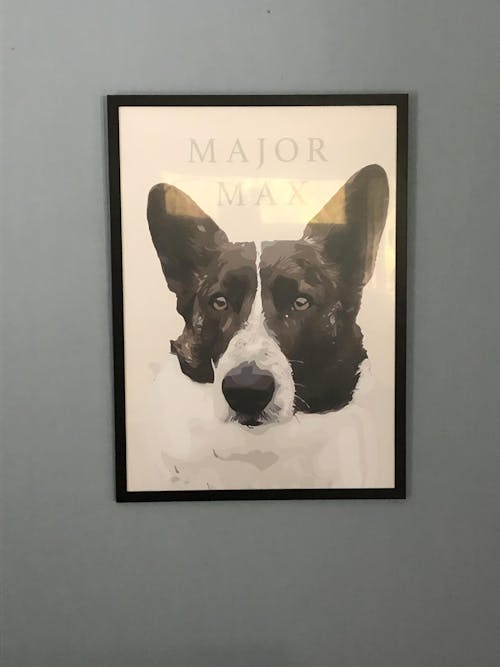 Kjæledyrplakat - vektorkunst