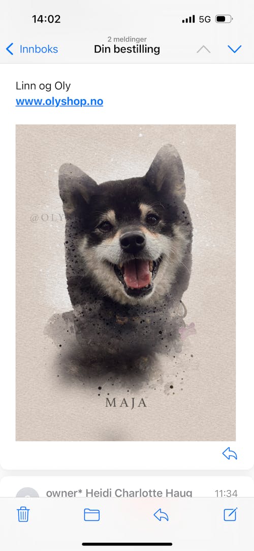 Kjæledyrplakat - akvarell