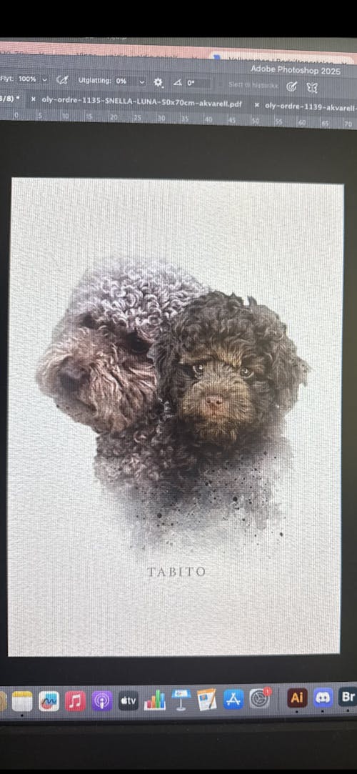 Kjæledyrplakat - akvarell