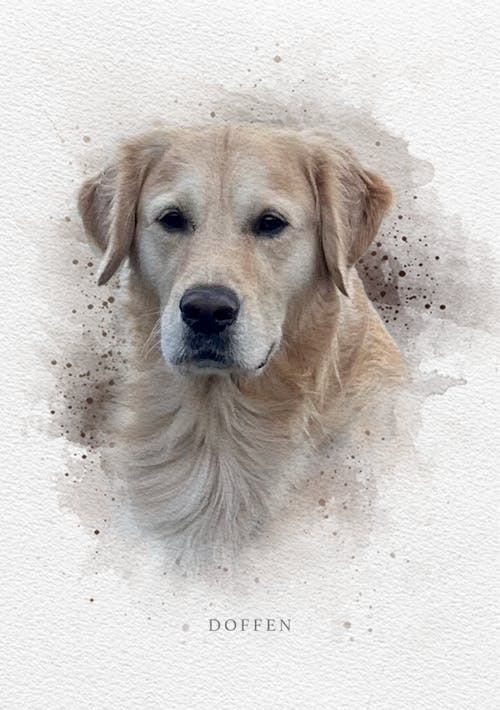 Kjæledyrplakat - akvarell