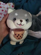 Hình ảnh người dùng