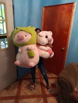 उपयोगकर्ता चित्र