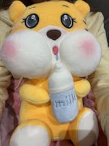 Hình ảnh người dùng