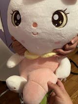 Zdjęcie użytkownika