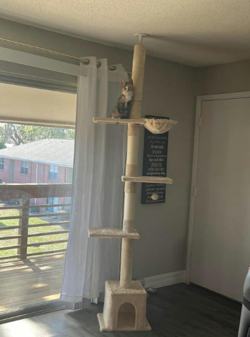 9' Adjustable Ceiling to Floor Cat Tree Tower with Cat Condo Hammock