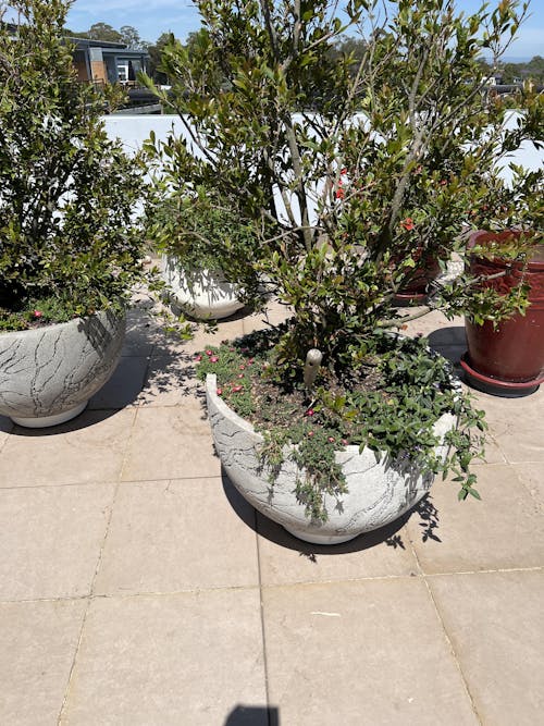 Omnia Plant Glider - 90kg - 4 Pack