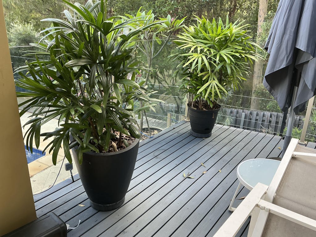 Omnia Plant Glider - 90kg - 4 Pack