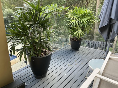 Omnia Plant Glider - 90kg - 4 Pack