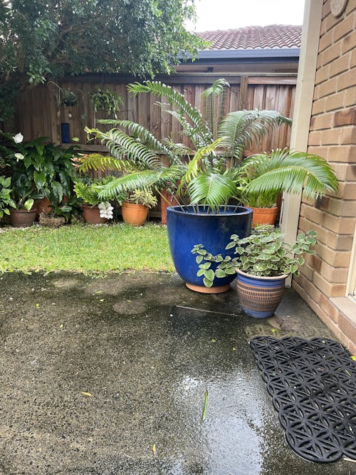 Omnia Plant Glider - 50kg - 2 Pack