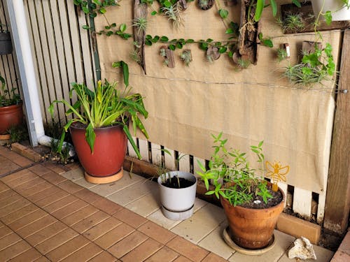 Omnia Plant Glider - 50kg - 4 Pack