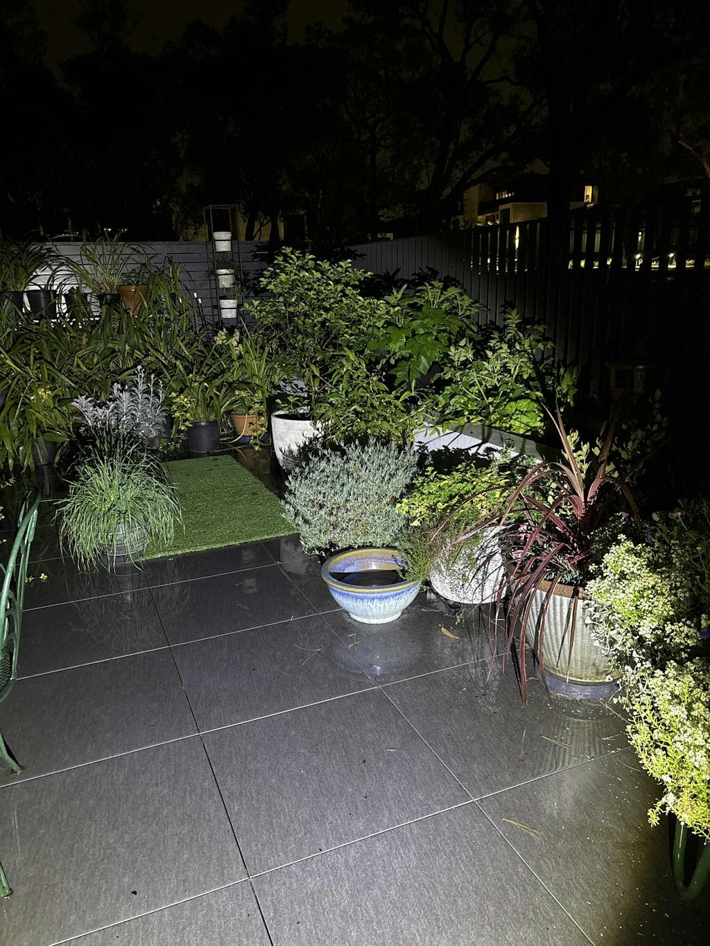 The Original Plant Glider | 30cm (50kg)