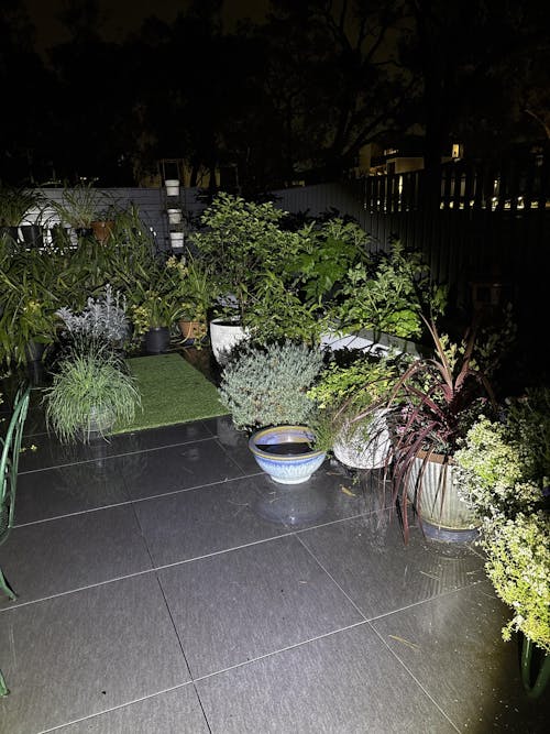 Omnia Plant Glider - 50kg