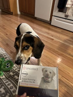 Cancer Screening Test for Dogs - Premium