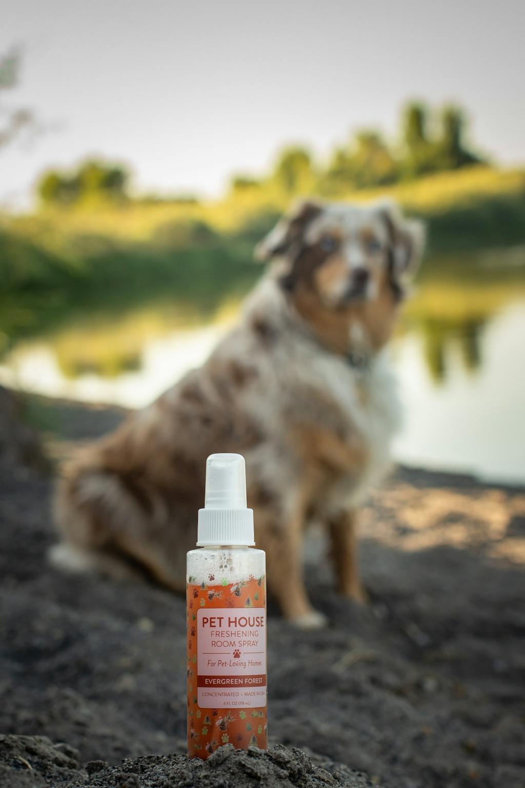 Pet House Evergreen Forest Room Freshening Spray Neutralizes Pet Odor One Fur All