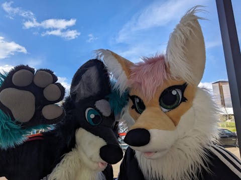 Fennec Fox Fursuit Head, Hand Paws & Tail, Size M/L PREMADE UA