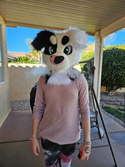 Black and white street dog fursuit head, hand paws and tail, payment #3 of 3