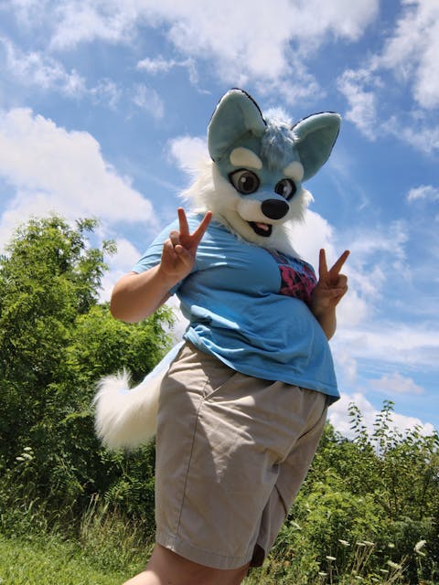 Unisex husky dog fursuit head and tail special offer to JV