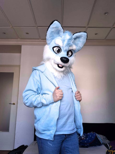 Blue Husky Dog Fursuit Head & Tail, Size M/L PREMADE US UA