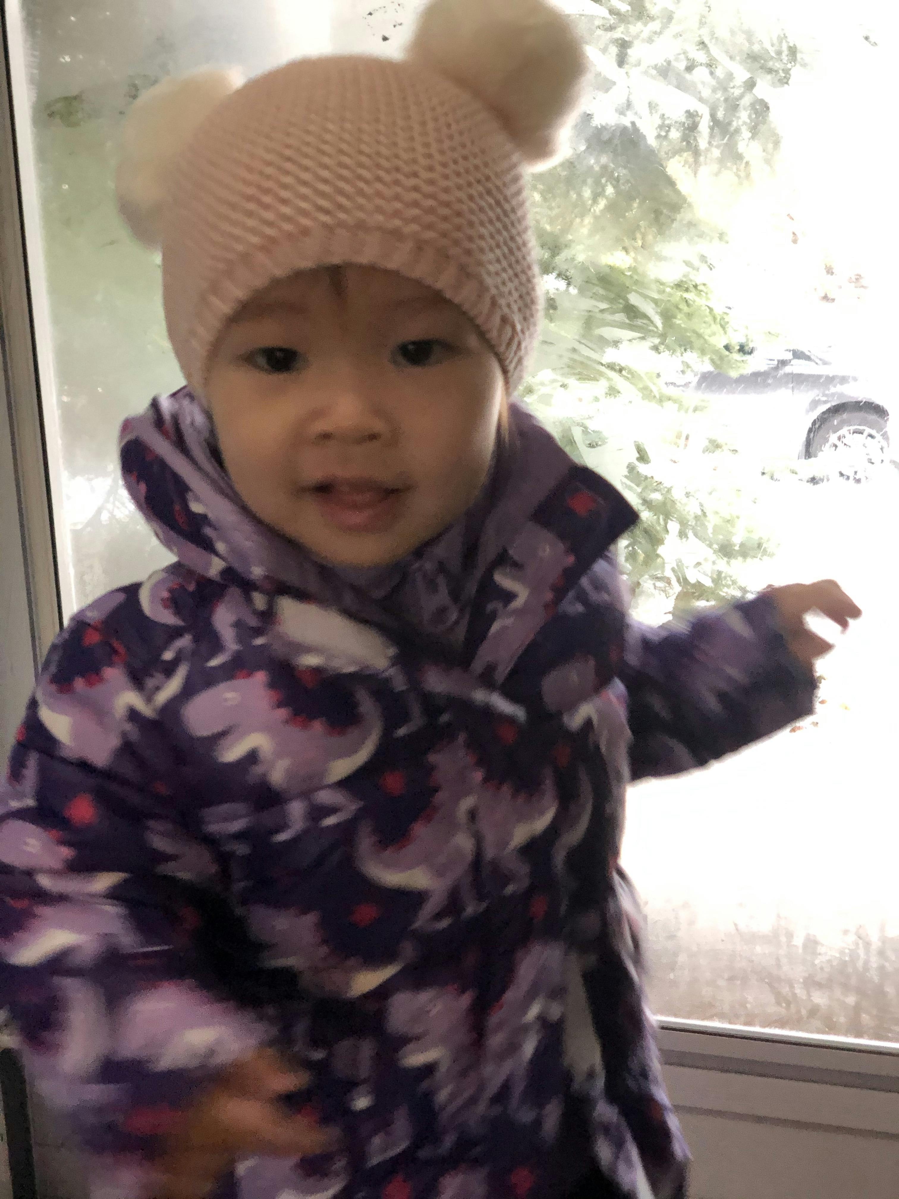 Car Seat Safety Road Coat®Vegan Jacket Platinum Onekid