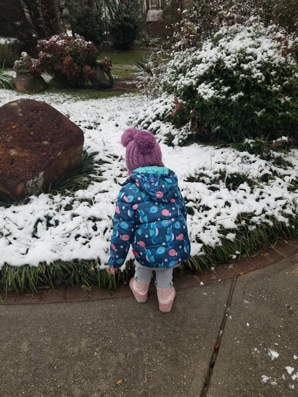 car seat coats amazon