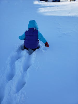 car seat coats amazon