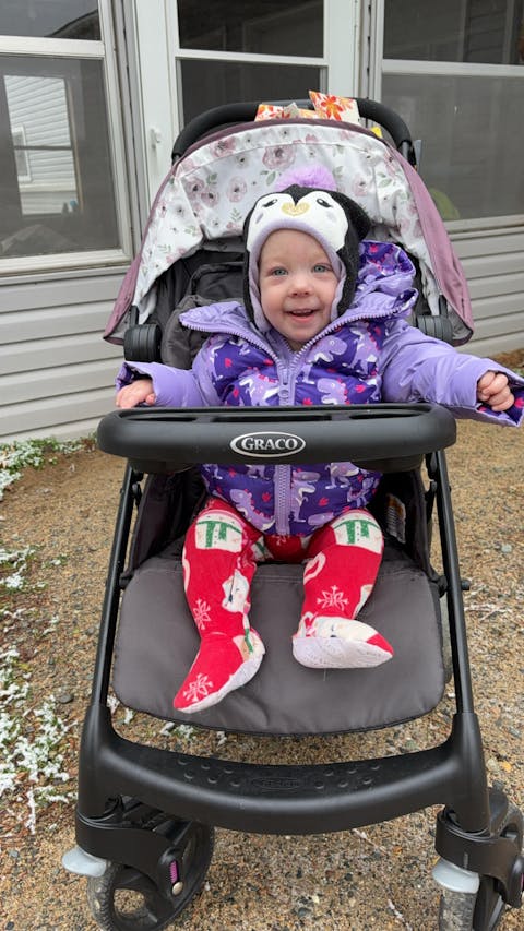 Car Seat Coat | The Road Coat Down - Purple Raptor Print